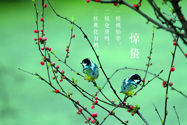 小集镇八柳树人口信息_...给农业生产带来影响.在山东省蓬莱市村里集镇古城李