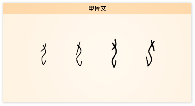 甲骨文.jpg