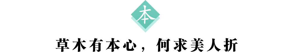 2本标题.png