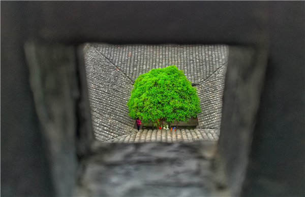 14.四川广安.jpg 14.四川广安.jpg
