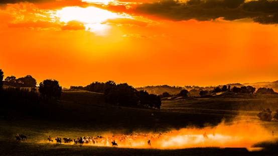 【跟着镜头品诗词】秋之语