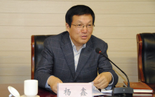 yangxin.jpg