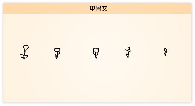 足 甲骨文.png