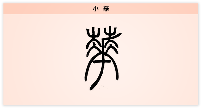 3文字演变花小篆.png