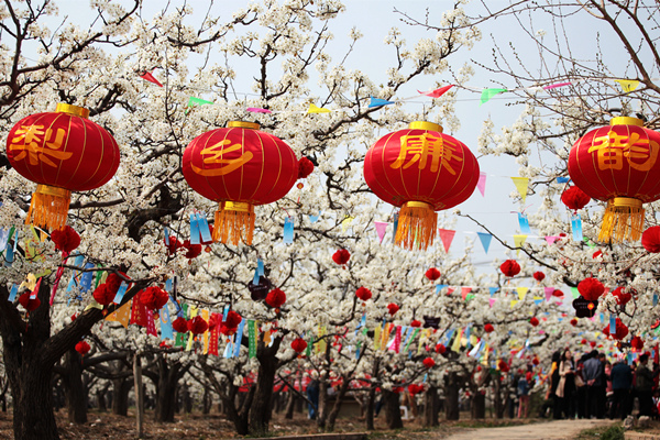多彩的活动,寓廉于景,寓教于游,以"梨花品质"助推廉洁理念深入人心